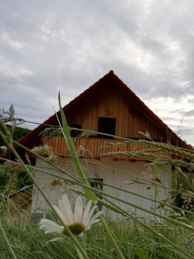 Bioferienhaus Muster - Dominkusch Possnitz Luaran gambar